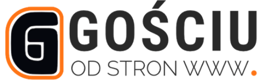 Profesjonalne strony internetowe Wrocław | Gościu od stron www